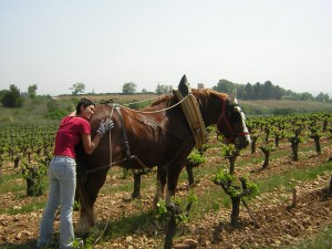 Catherine et Nestor